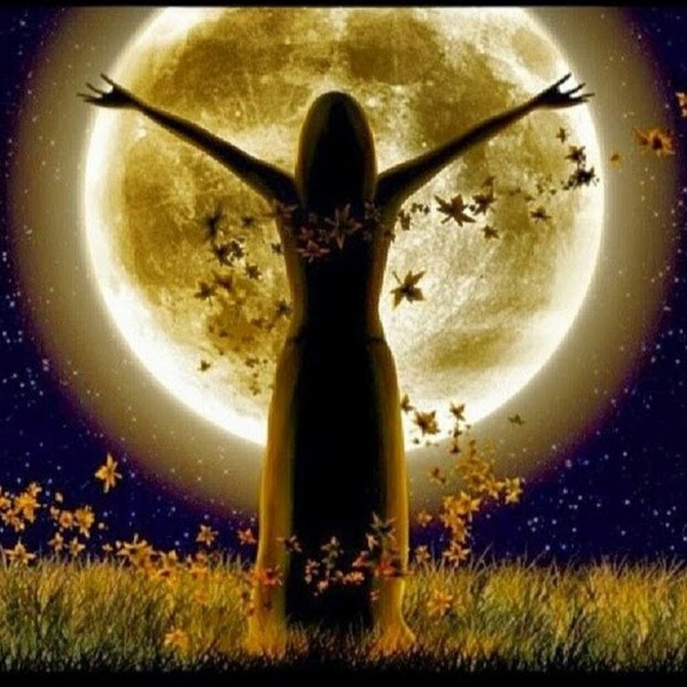 Meet your Posher, Jayme